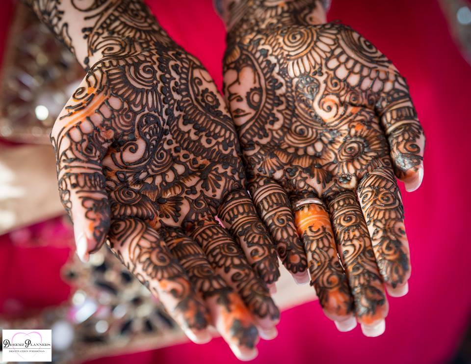 DINO & CHANDNI wedding photo 24