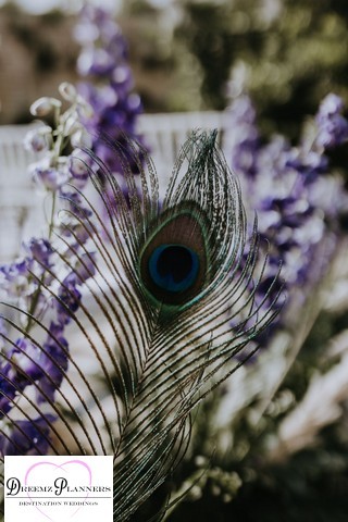 HAIDER & HITESH wedding photo 10