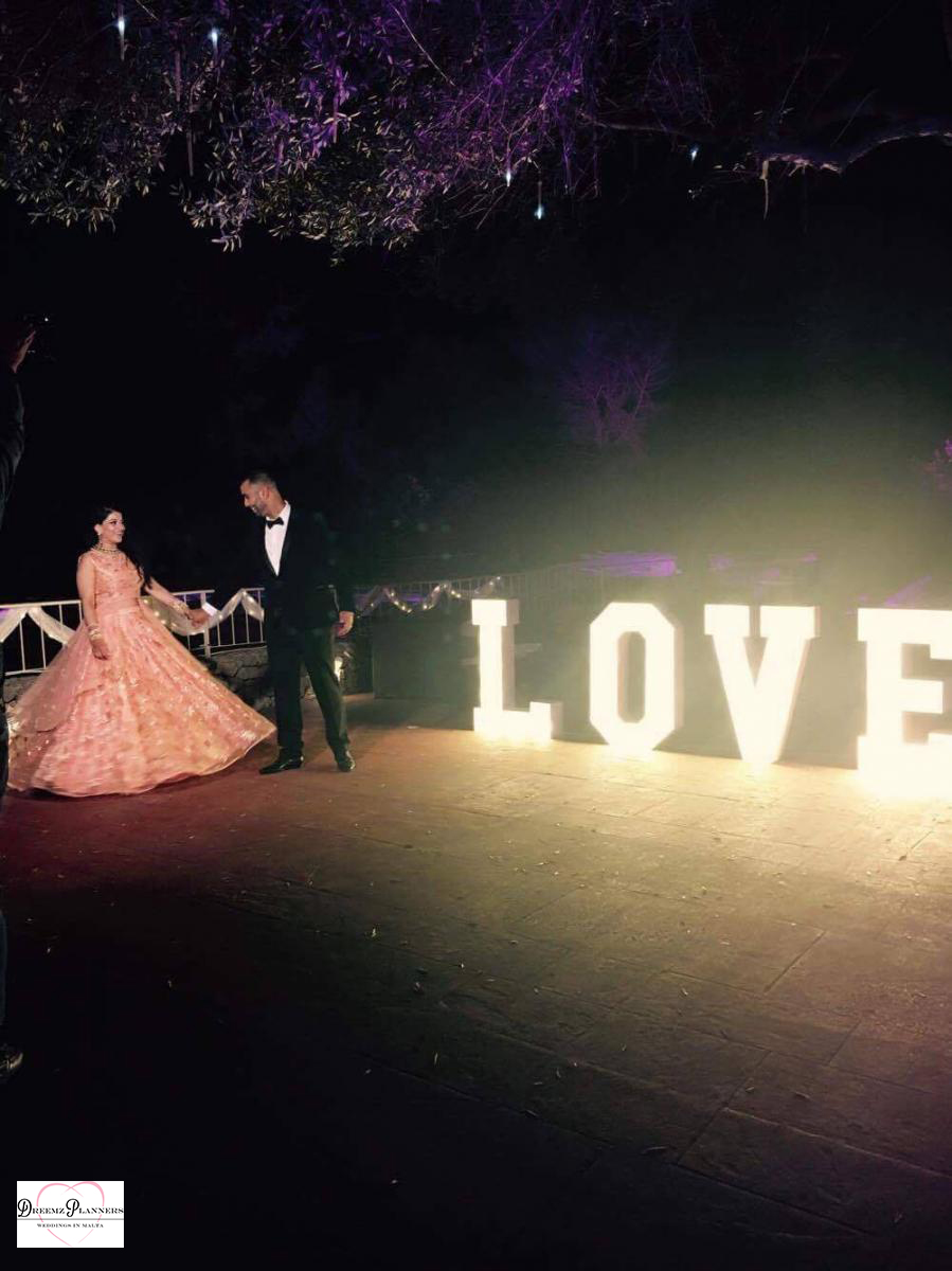 MINAL & VINAY wedding photo 1