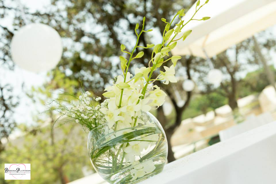 STEVE & MICKAEL wedding photo 6