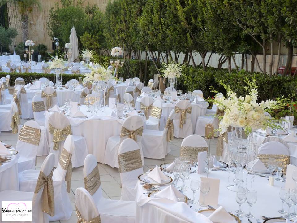 JIN & NIRAJ wedding photo 19