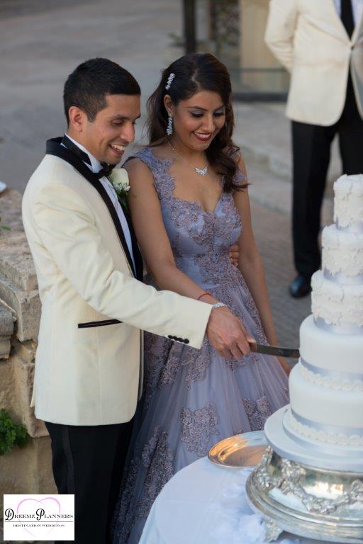 DHANISHA & VIKESH wedding photo 2