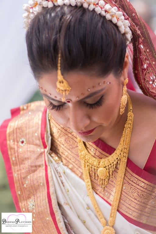 DHANISHA & VIKESH wedding photo 4