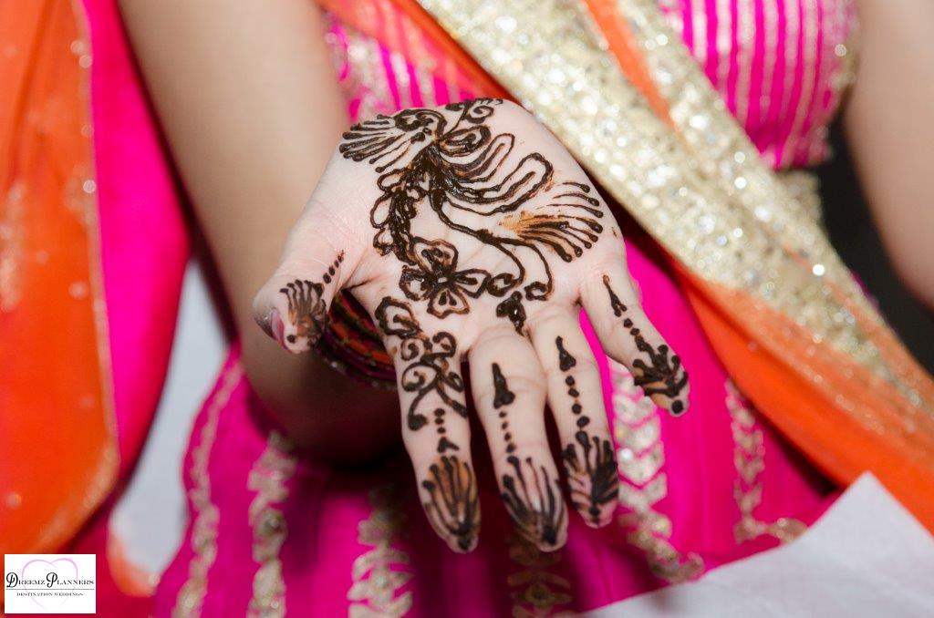 DHANISHA & VIKESH wedding photo 15